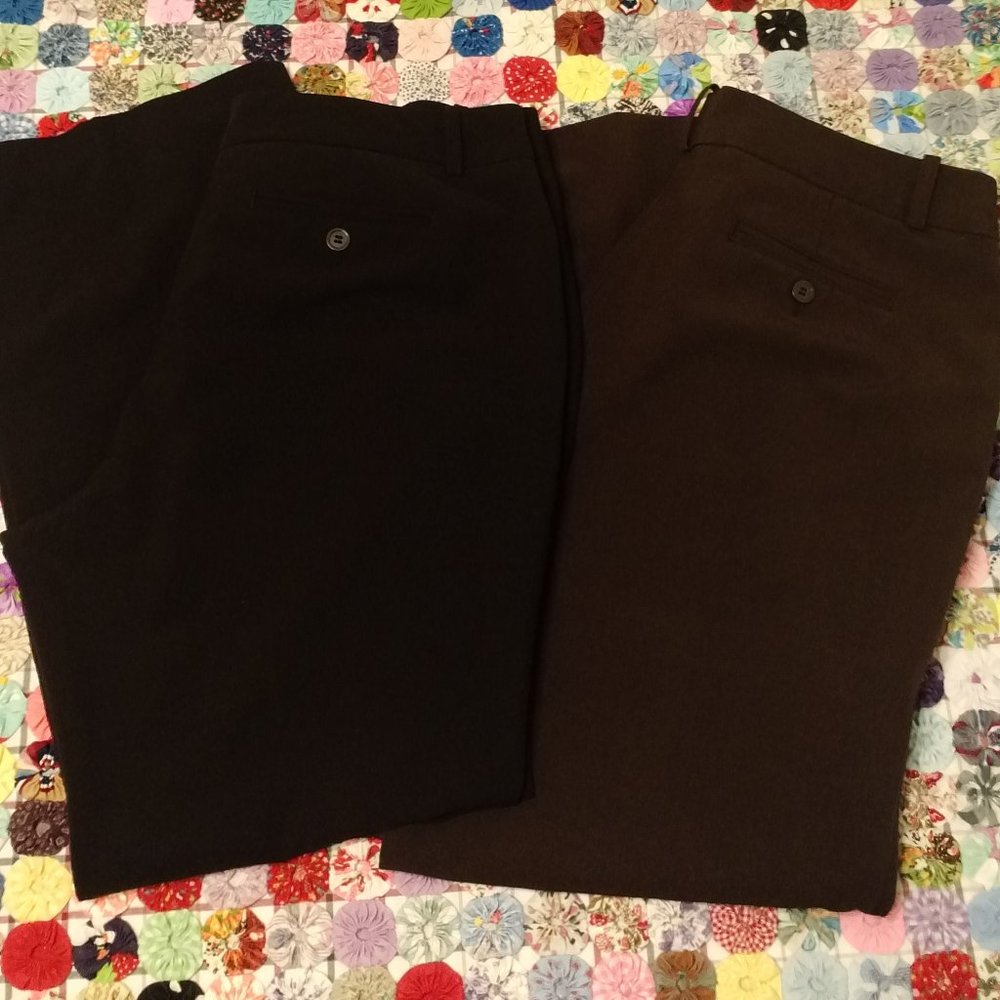 2 Worthington pants size 14P (black, brown)